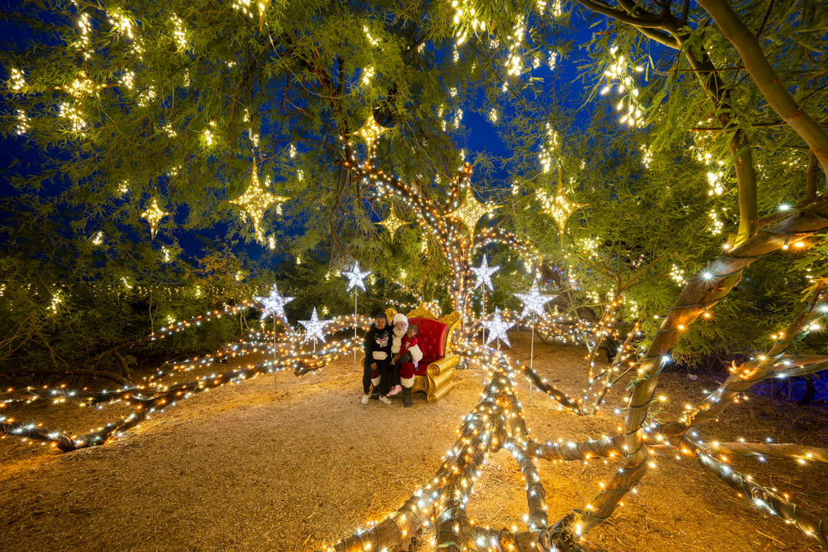 Holiday decorations - Retail
